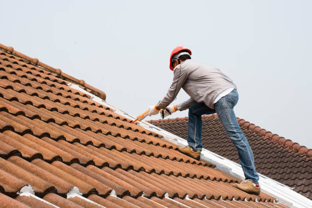 Best Storm Damage Roof Repair  in White Mountain Lake, AZ